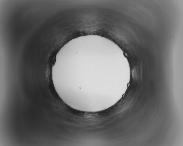 X0000096411299200802211216