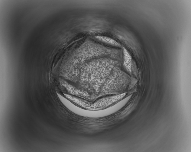 X0000096411300200802211216