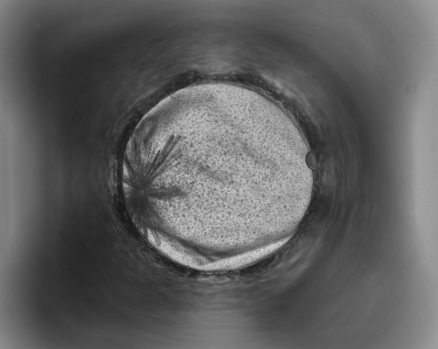 X0000096411301200802211216