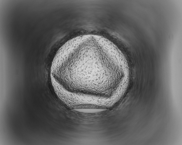 X0000096411302200802211216
