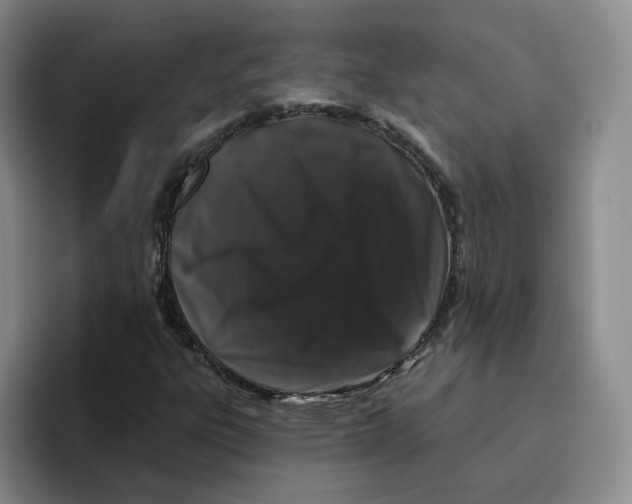 X0000096411303200802211216