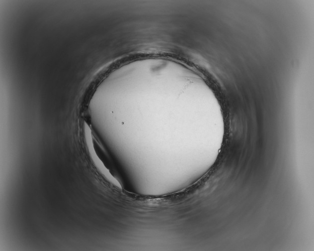 X0000096411304200802211216