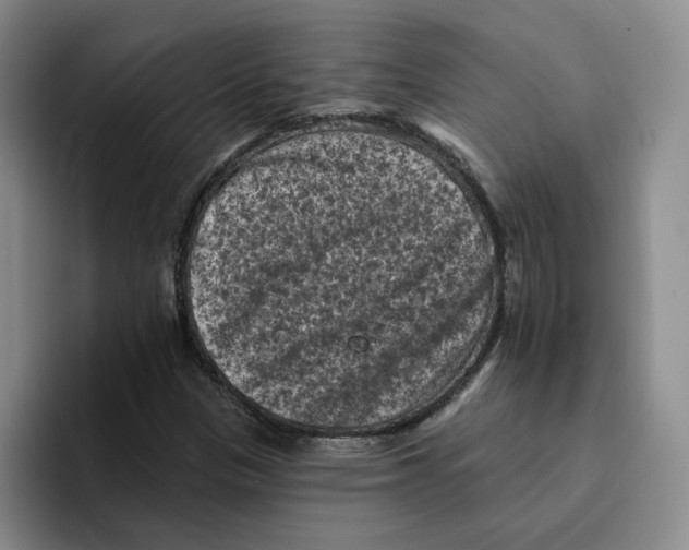 X0000096411305200802211216