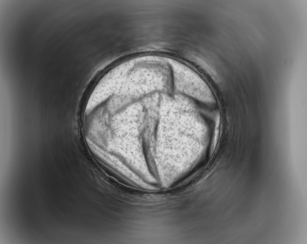 X0000096411308200802211216