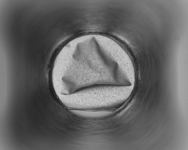 X0000096411309200802211216