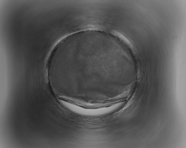 X0000096411310200802211216