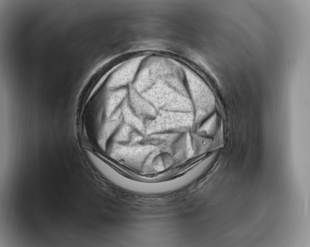 X0000096411312200802211216