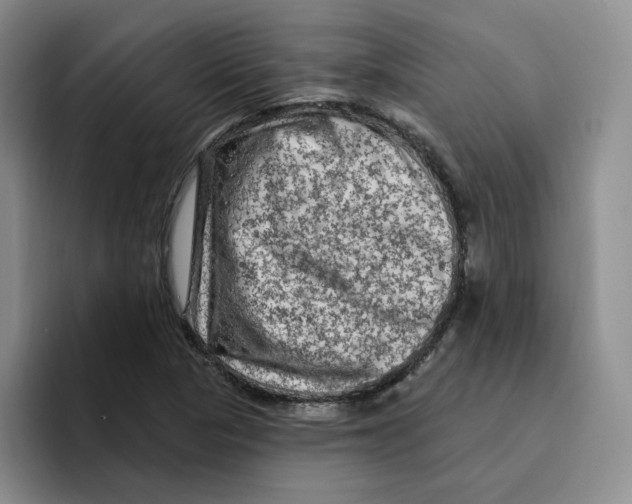 X0000096411313200802211216