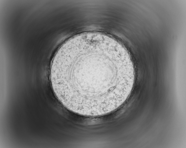 X0000096411314200802211216