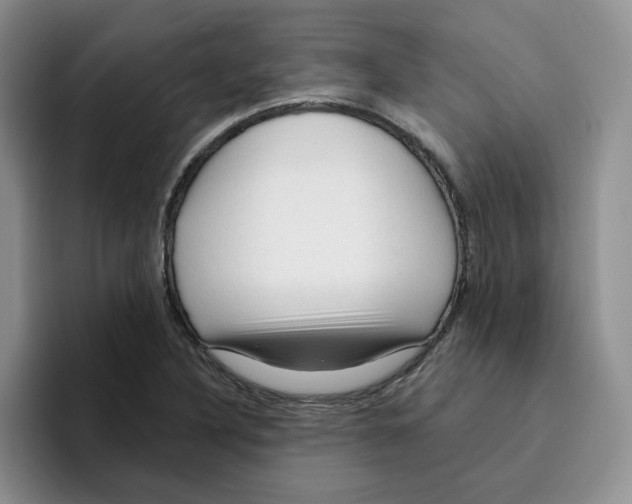 X0000096411316200802211217