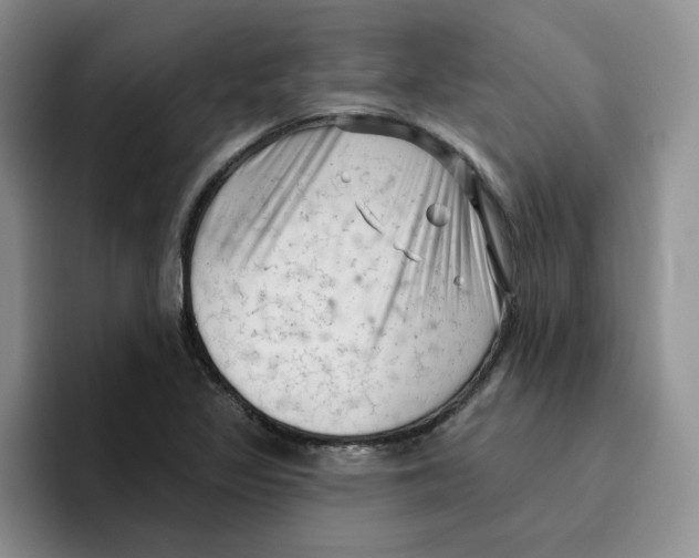 X0000096411317200802211217