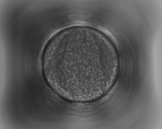 X0000096411318200802211217