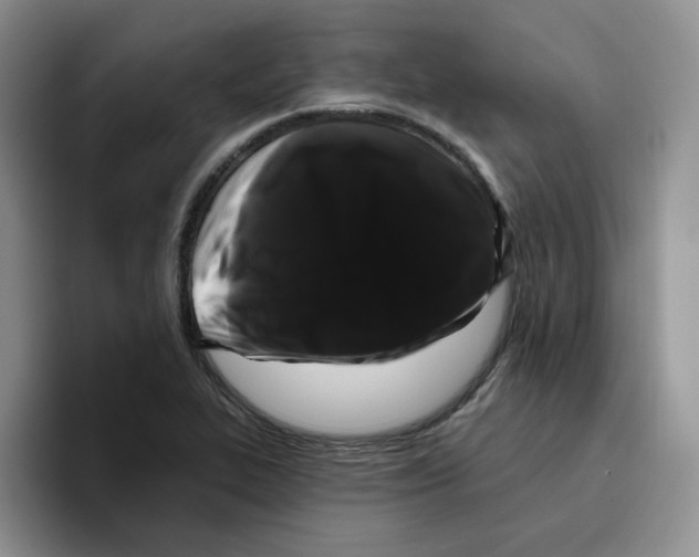 X0000096411319200802211217
