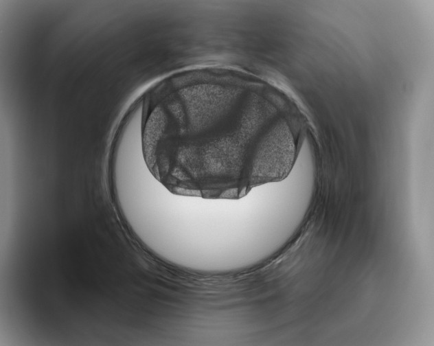 X0000096411320200802211217