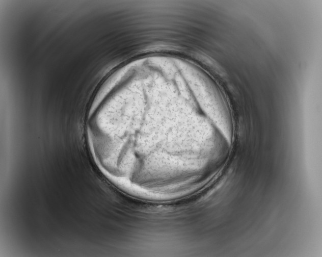 X0000096411321200802211217