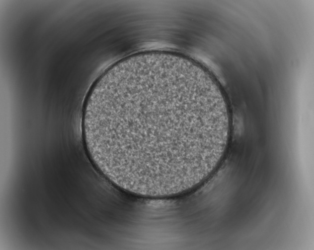 X0000096411322200802211217