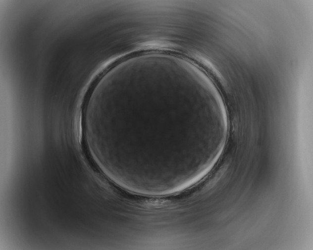 X0000096411323200802211217