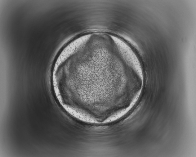 X0000096411325200802211217