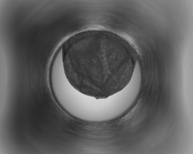 X0000096411326200802211217