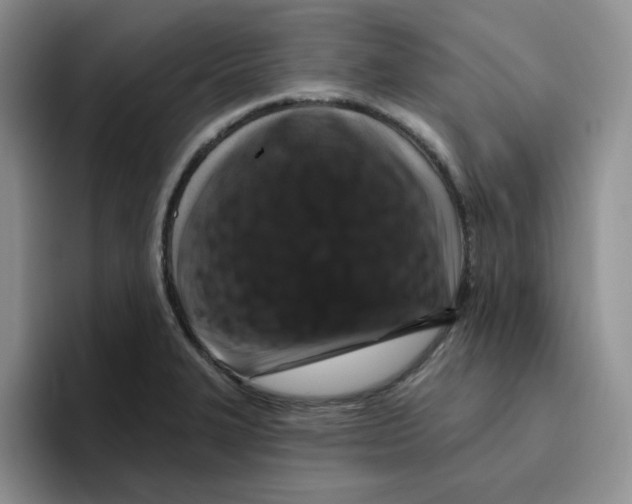 X0000096411327200802211217