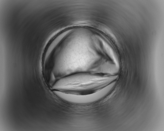 X0000096411328200802211217