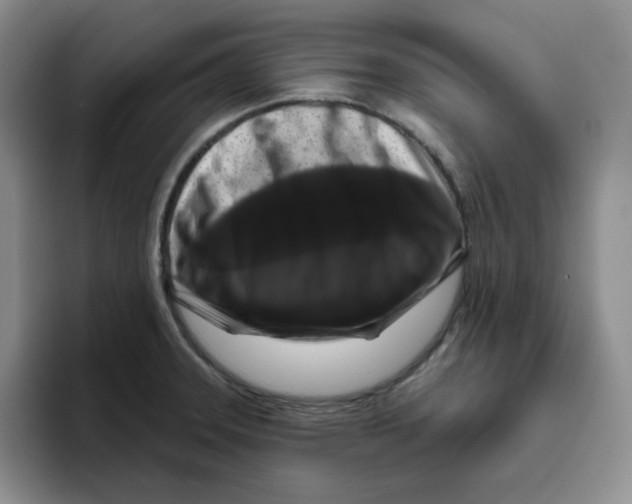 X0000096411331200802211217