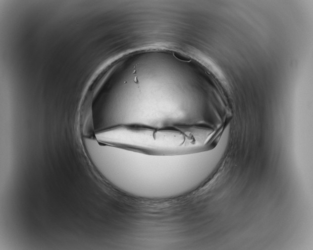 X0000096411332200802211217