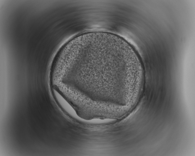 X0000096411333200802211217