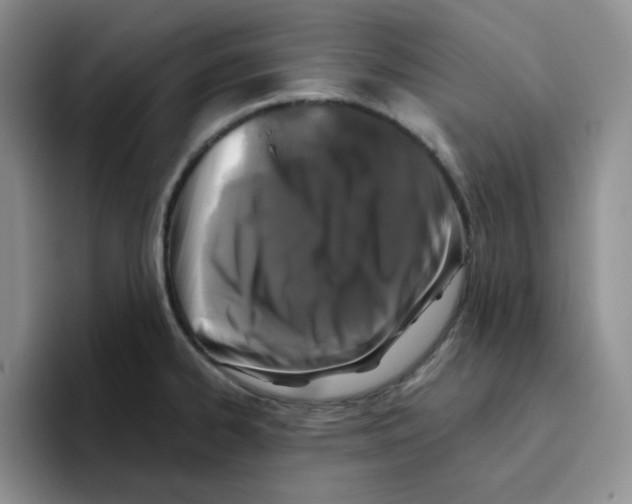 X0000096411334200802211217