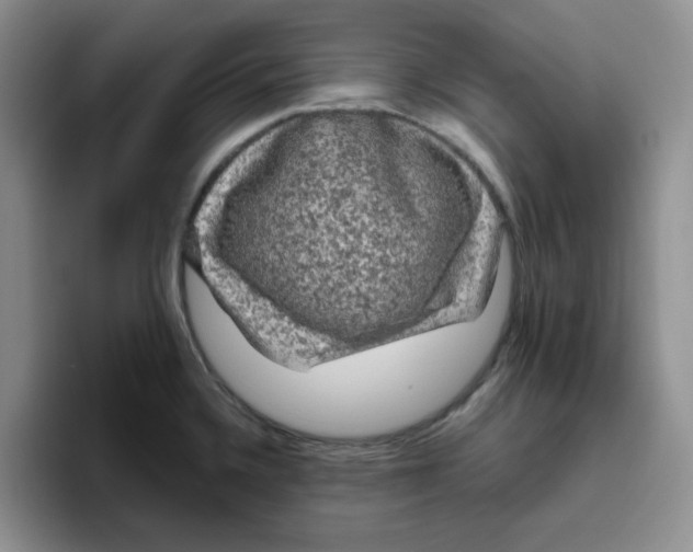 X0000096411336200802211217
