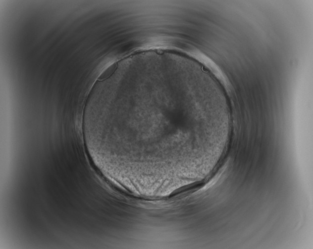 X0000096411337200802211217