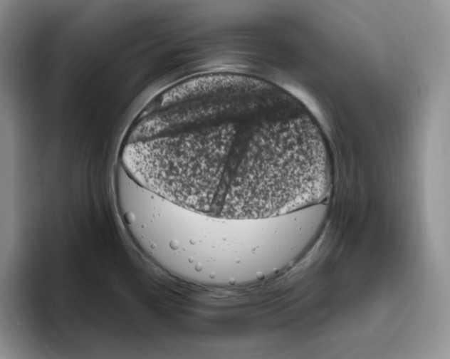 X0000096411338200802211217