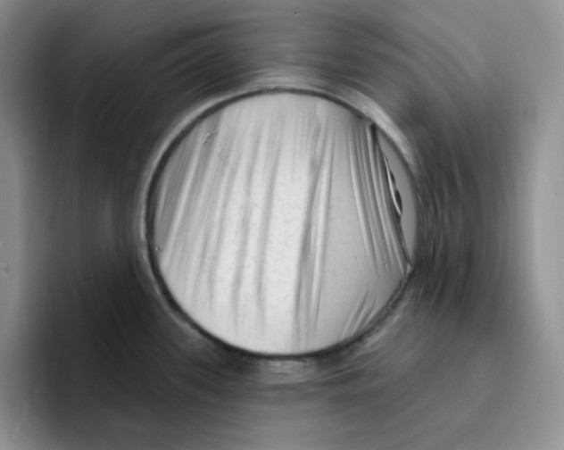 X0000096411339200802211217