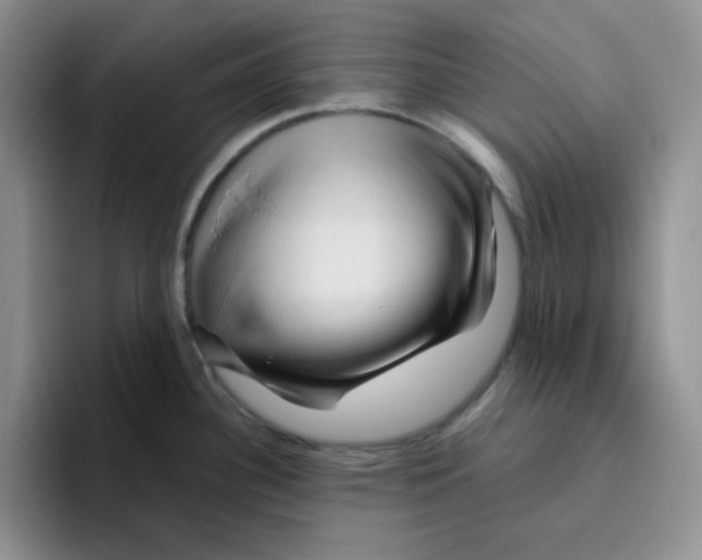 X0000096411340200802211217