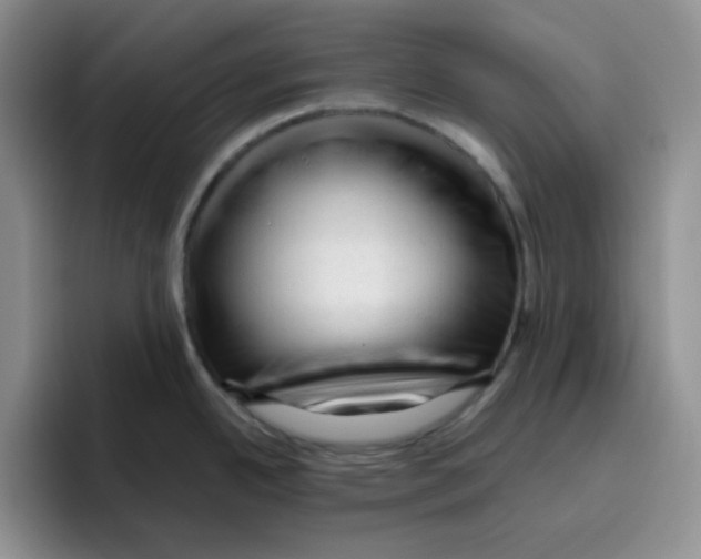 X0000096411342200802211217