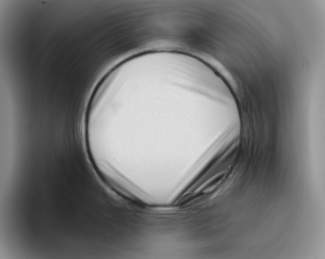 X0000096411343200802211217