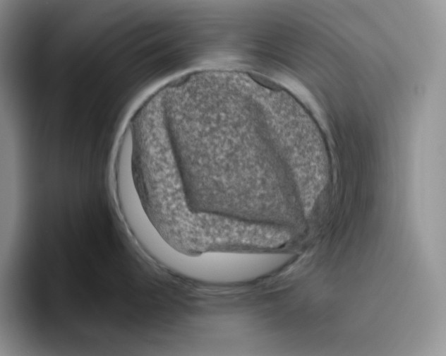 X0000096411344200802211217