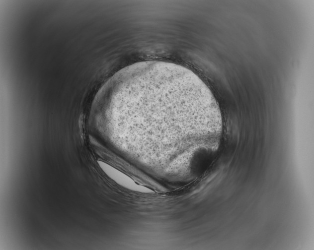 X0000096411346200802211216