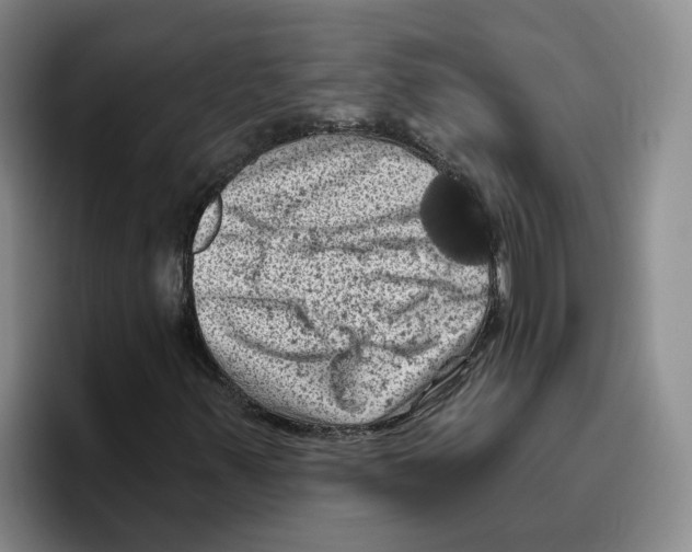 X0000096411347200802211216
