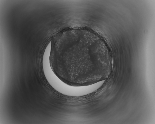 X0000096411348200802211216