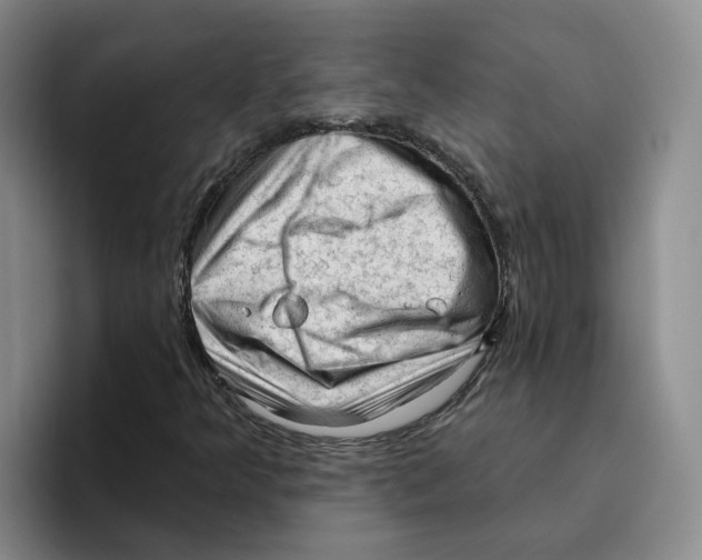 X0000096411349200802211216