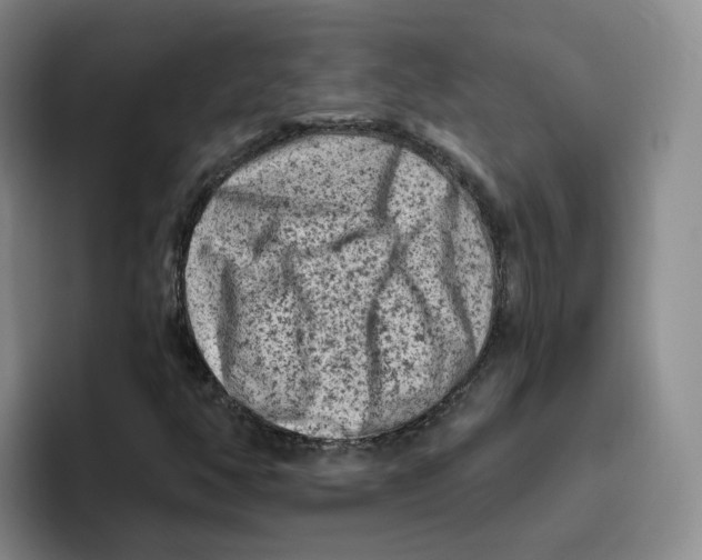X0000096411350200802211216