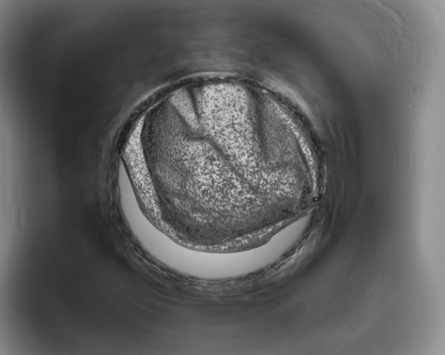 X0000096411352200802211216