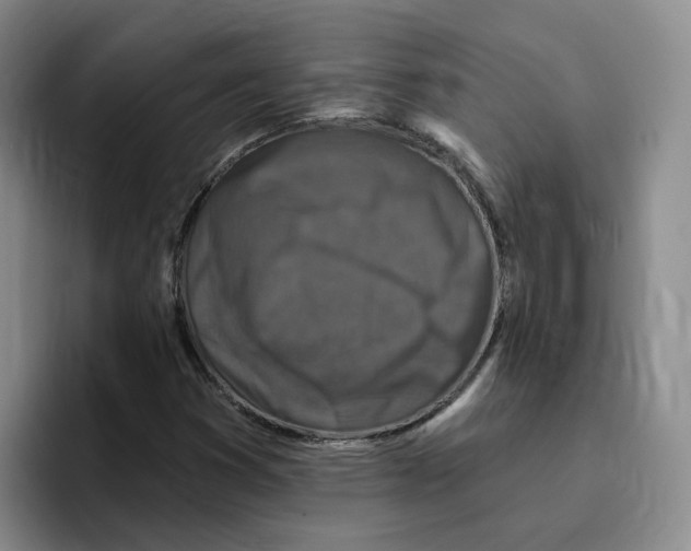 X0000096411353200802211216