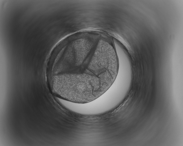 X0000096411356200802211216