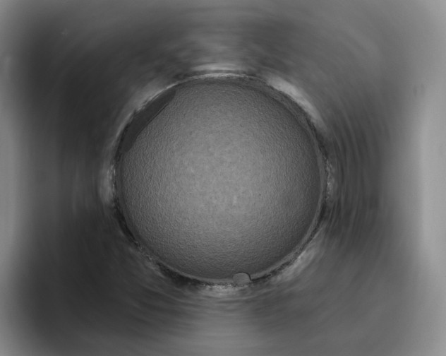 X0000096411357200802211216