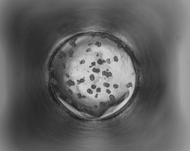 X0000096411358200802211216