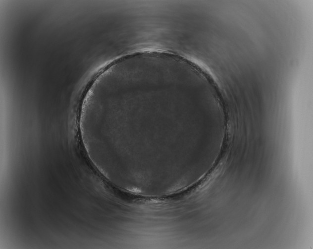 X0000096411359200802211216