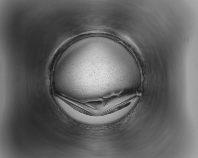 X0000096411360200802211216