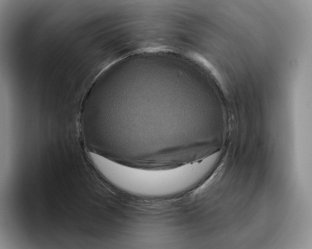 X0000096411361200802211216